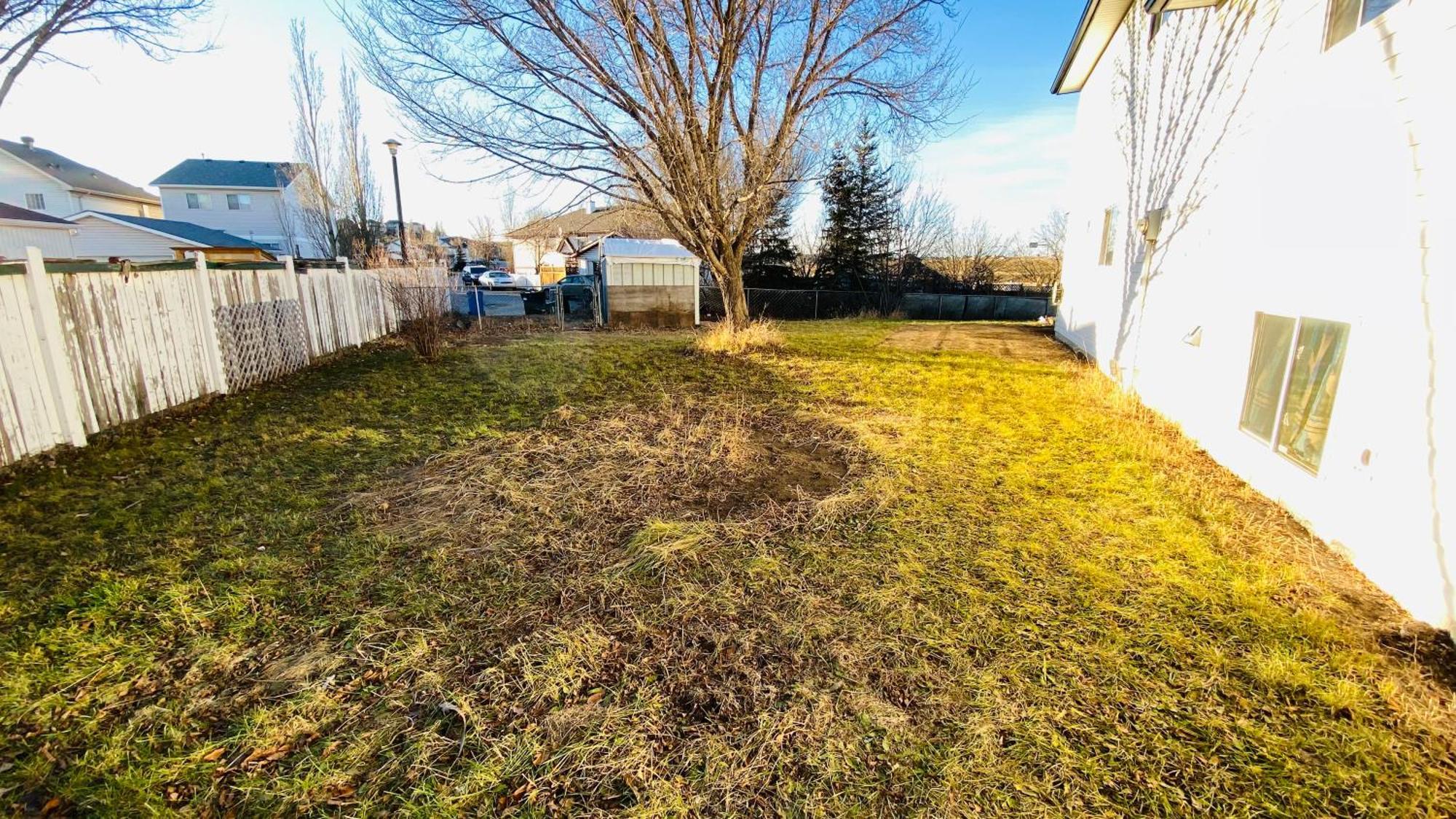 Walkout Basement Suite, 2 Bdr 4bd, Bright And Spacious Appartement *